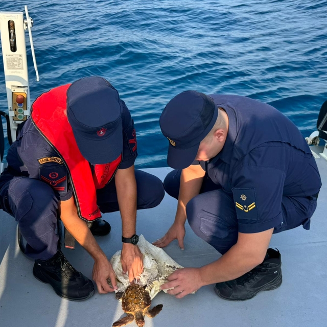 Antalya'da çuvala takılan deniz kaplumbağasını sahil güvenlik kurtardı