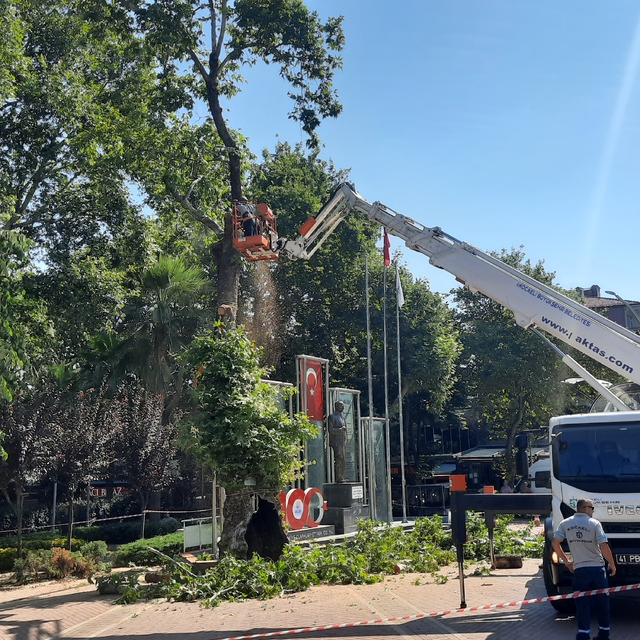 Kocaeli'den kısa kısa