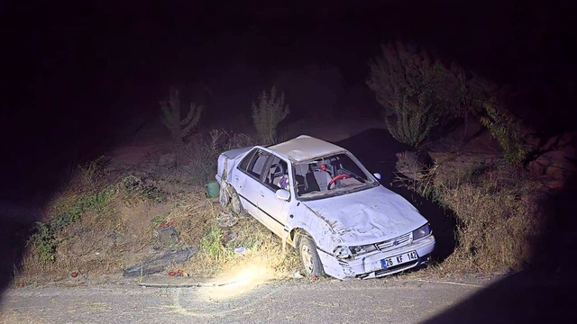Bilecik'te devrilen otomobildeki 3 kişi yaralandı