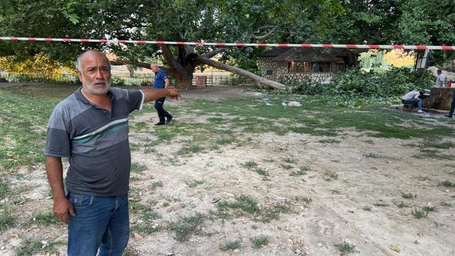 Ağacın kırılan dalı, piknik yapanların üzerine düştü: 11 yaralı