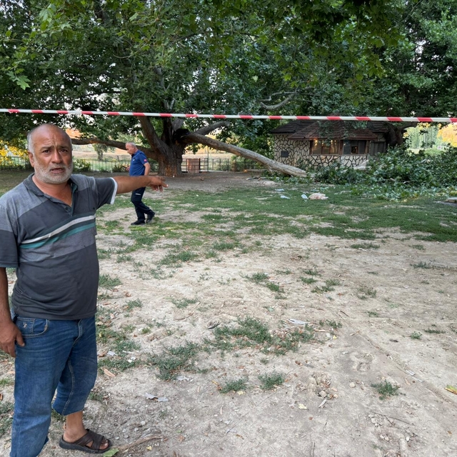 Ağacın kırılan dalı, piknik yapanların üzerine düştü: 11 yaralı
