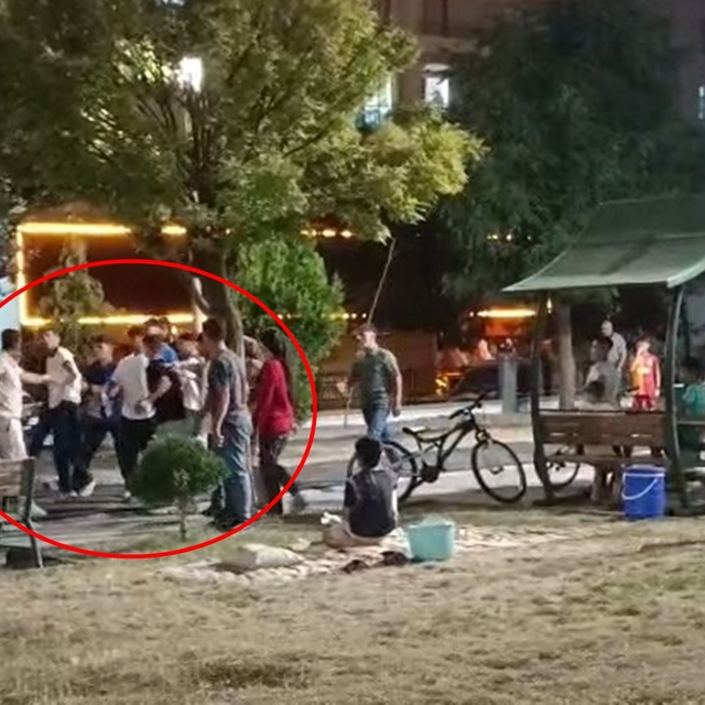 Parktaki tekmeli, yumruklu kavga kamerada