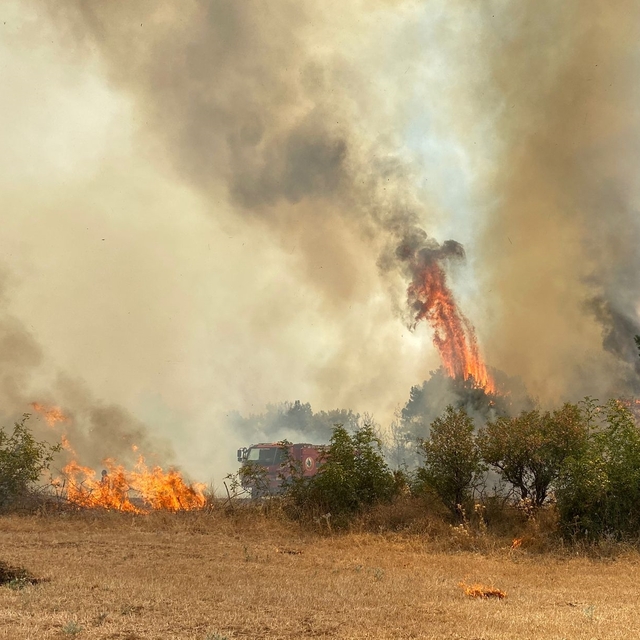 Çanakkale'de orman yangını çıktı