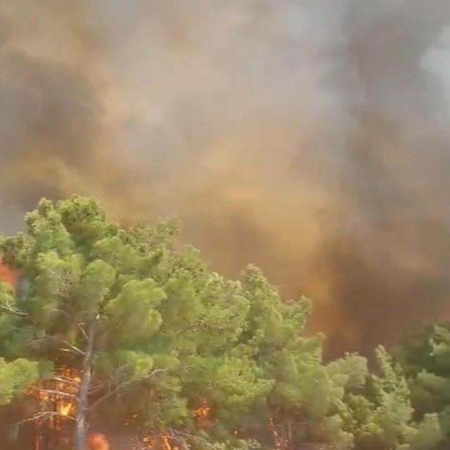 Çanakkale'de orman yangını