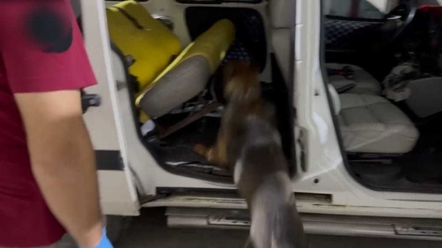 Benzin deposuna gizlenmiş 20 kilo uyuşturucuyu 'Mailo' buldu