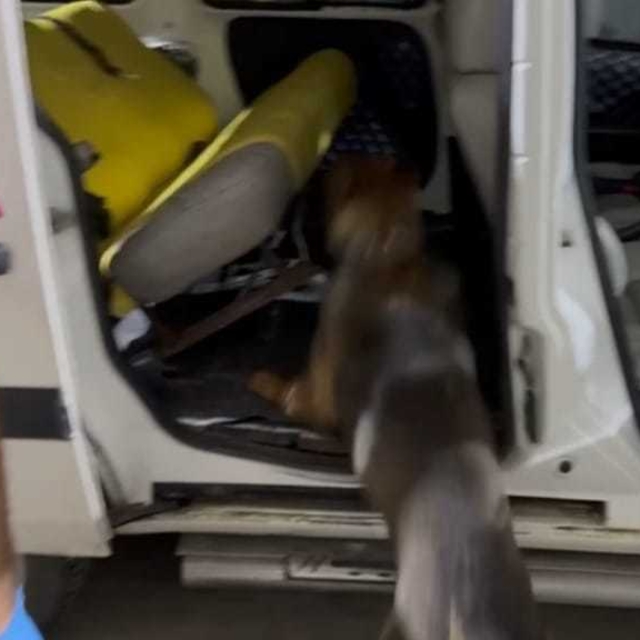 Benzin deposuna gizlenmiş 20 kilo uyuşturucuyu 'Mailo' buldu