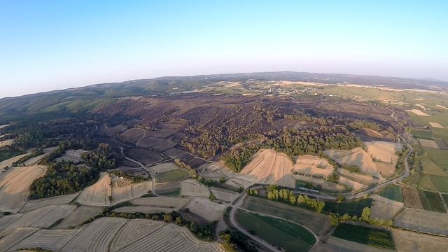 Edirne'deki orman yangınında zarar gören alanlar havadan görüntülendi