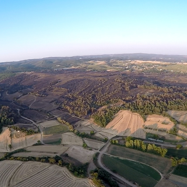 Edirne'deki orman yangınında zarar gören alanlar havadan görüntülendi