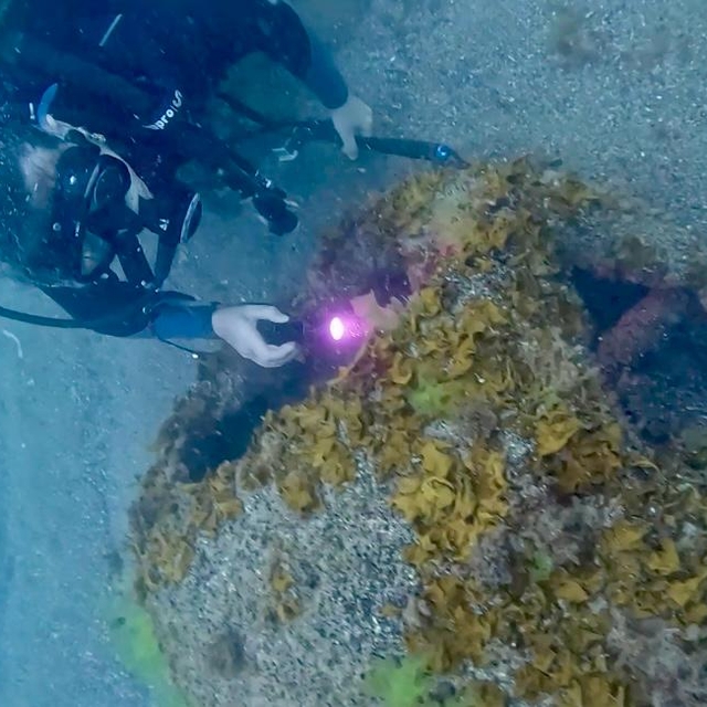 Ordu'da, denizde patlamış mayın bulundu