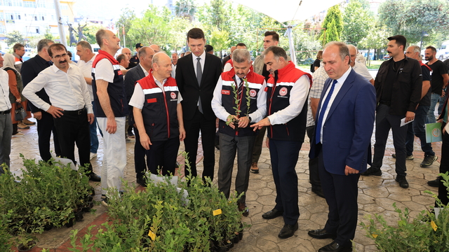 Arhavi'de çiftçilere maviyemiş fidanı dağıtıldı
