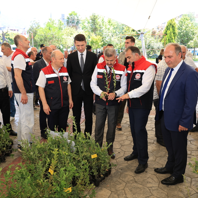 Arhavi'de çiftçilere maviyemiş fidanı dağıtıldı