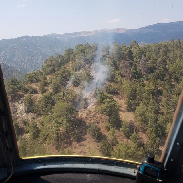 Eskişehir'de yıldırım düşmesi sonucu çıkan orman yangını kontrol altına alı...