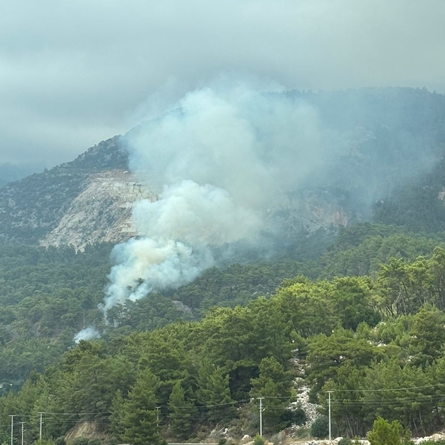 Antalya'da çıkan orman yangını söndürüldü