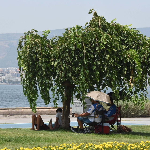 Ege Bölgesi için sıcaklık artış uyarısı