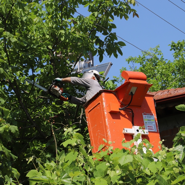 SEDAŞ, Bolu'da kesintisiz enerji için ağaç budama çalışması yapıyor