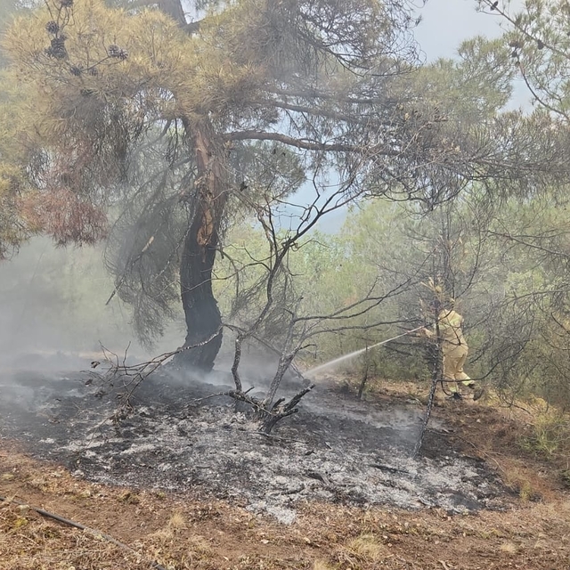 Çorum'da yıldırım düşmesi nedeniyle ormanlık alanda çıkan iki yangın söndür...