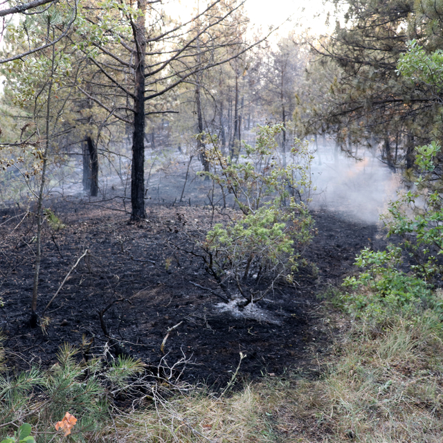 Karabük'te ormanlık alanda çıkan yangın kontrol altına alındı