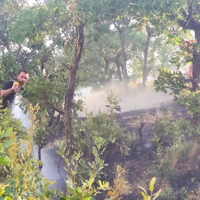 Bingöl'de ormanlık alanda çıkan yangın söndürüldü