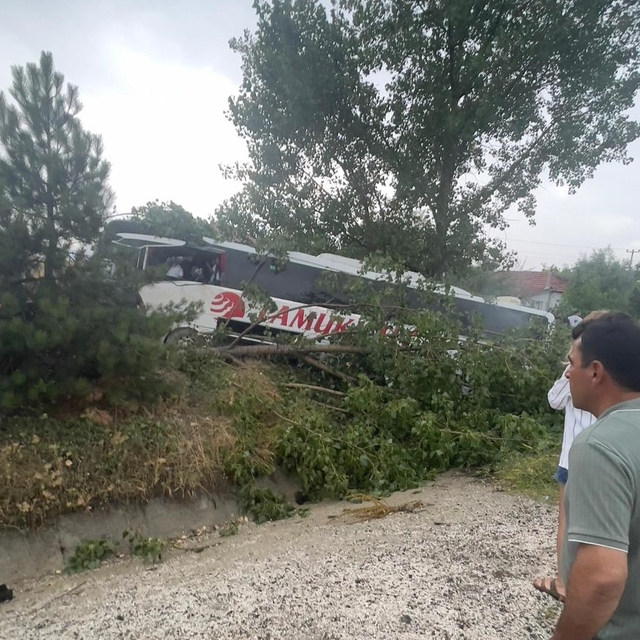 Antalya'da yol kenarındaki ağaçlara çarpan otobüsteki 10 kişi yaralandı