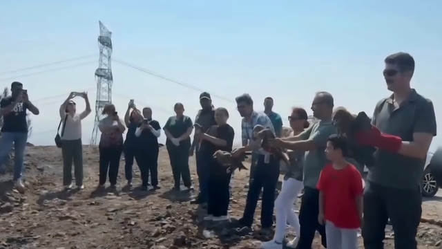 Hatay'da tedavisi tamamlanan 11 yabani kuş doğaya salındı