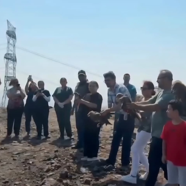 Hatay'da tedavisi tamamlanan 11 yabani kuş doğaya salındı