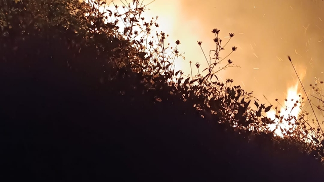 Bolu'da örtü yangını