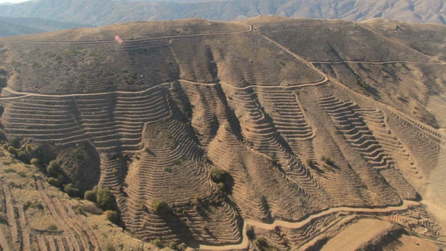 Galeri