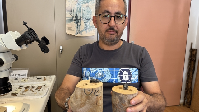 Dedektör köpekler, sınır kapılarında zararlı böcekleri tespit edecek