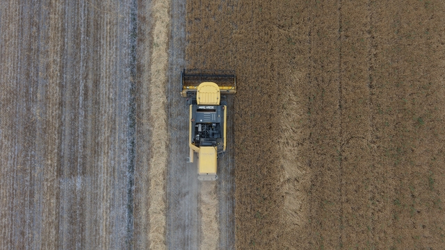 Konya Ovası'nda, kuraklık ve don nedeniyle yaklaşık 1 milyon ton rekolte düşüşü bekleniyor