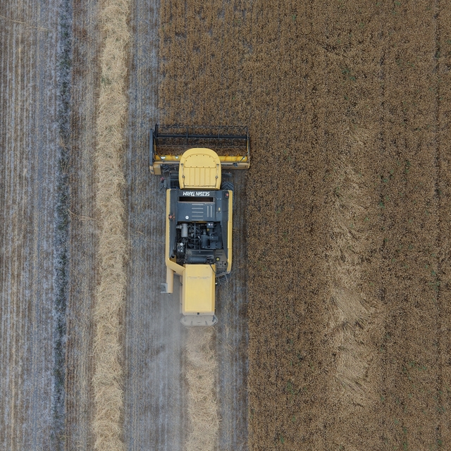 Konya Ovası'nda, kuraklık ve don nedeniyle yaklaşık 1 milyon ton rekolte dü...