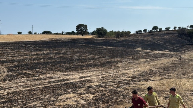 Edirne'de çıkan anız yangını söndürüldü