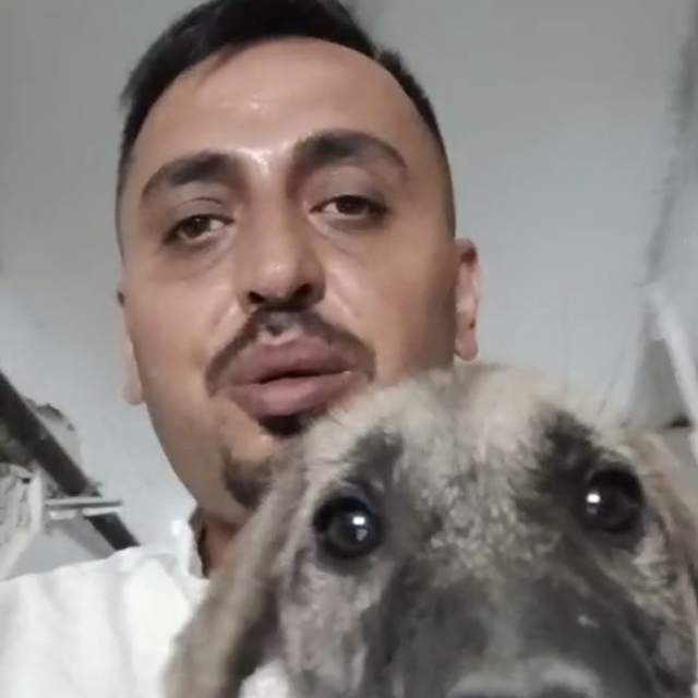 Ağır hasarlı binaya girip yavru köpeği kurtardı