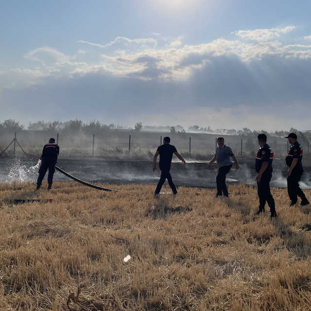 Amasya'da çıkan yangında 250 dönüm tarım arazisi zarar gördü