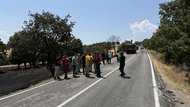 Bayramiç'te otluk alanda çıkan yangın söndürüldü