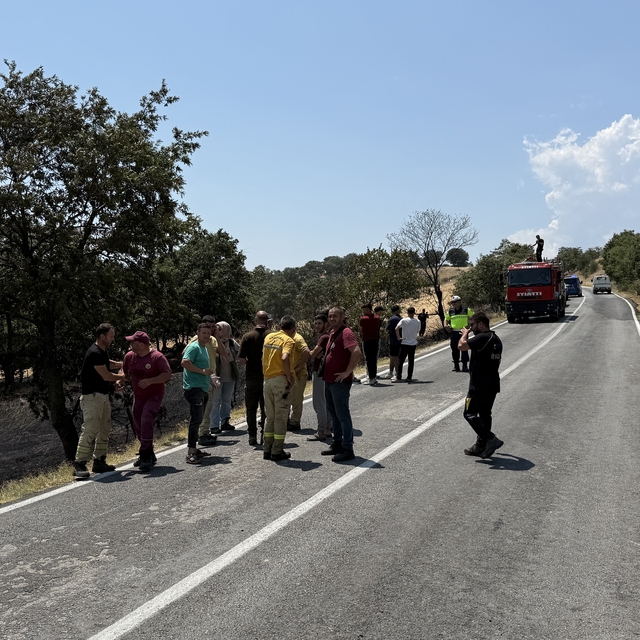 Bayramiç'te otluk alanda çıkan yangın söndürüldü