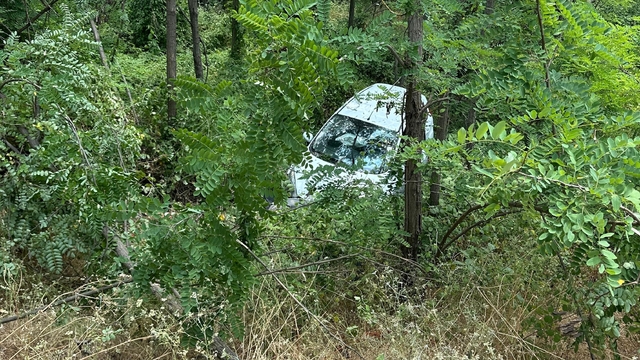 3 kişinin yaralandığı kazada otomobildeki kediyi de sağlıkçılar kurtardı