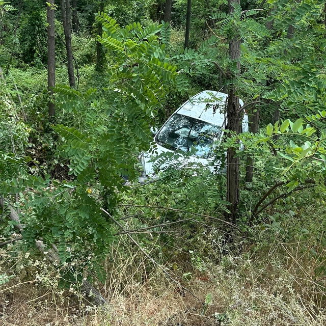 3 kişinin yaralandığı kazada otomobildeki kediyi de sağlıkçılar kurtardı
