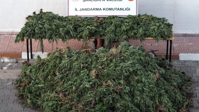 Şanlıurfa'da uyuşturucu operasyonunda 9 şüpheli yakalandı