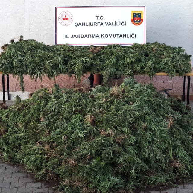 Şanlıurfa'da uyuşturucu operasyonunda 9 şüpheli yakalandı