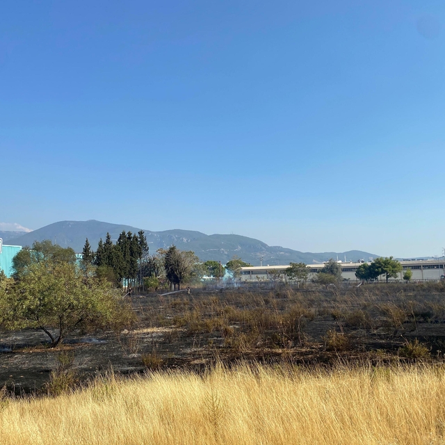 İzmir'de çıkan ot yangını AVM otoparkına sıçradı; 2 otomobilde hasar oluştu