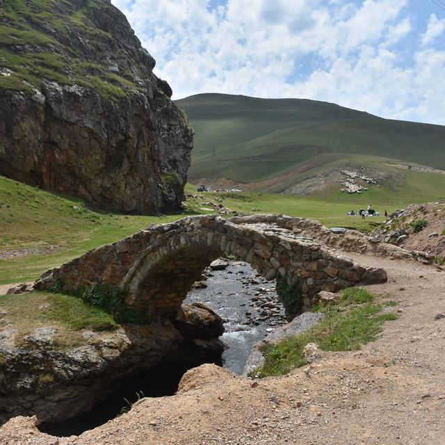 Gümüşhane'deki "Taşköprü Yaylası" doğaseverlerin uğrak noktası oldu