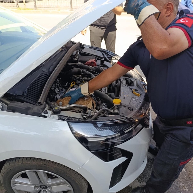Aracın motoruna sıkışan yavru kedi kurtarıldı
