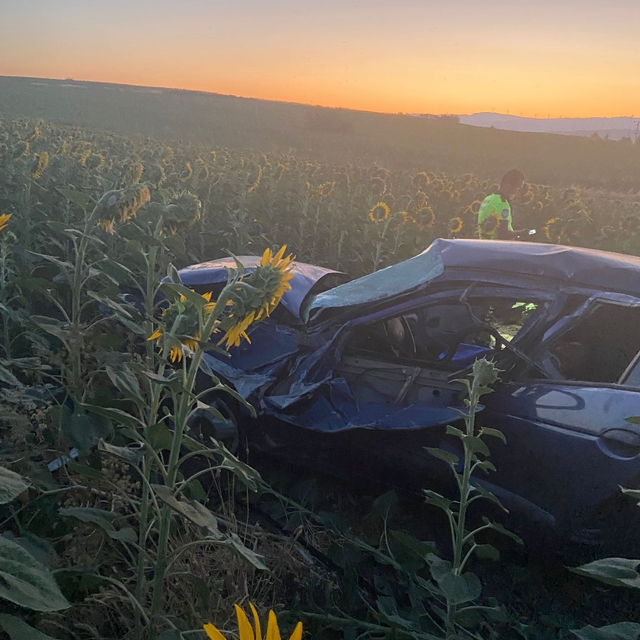 Balıkesir'de ayçiçeği tarlasına devrilen otomobildeki 3 kişi yaralandı