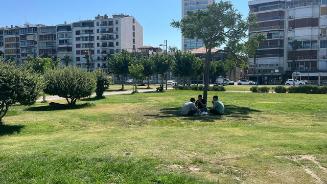 Galeri