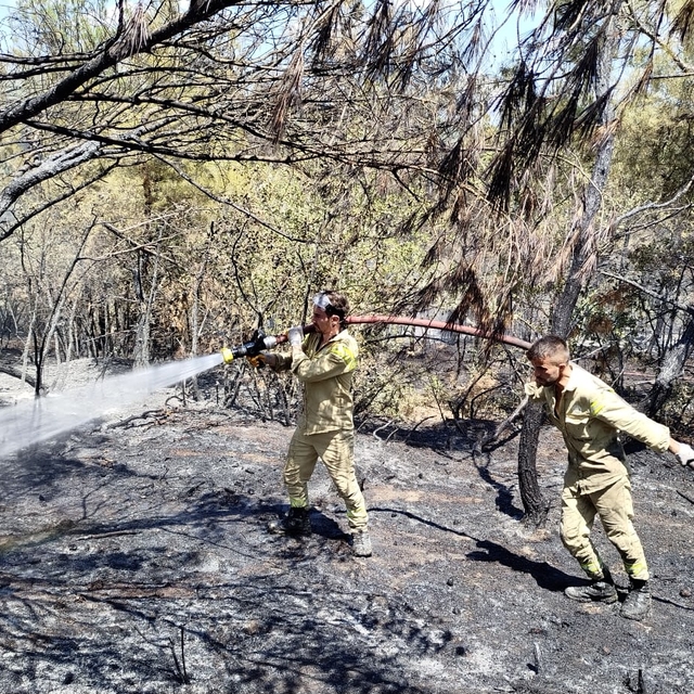 Sinop'ta orman yangınında 8 dönüm alan zarar gördü