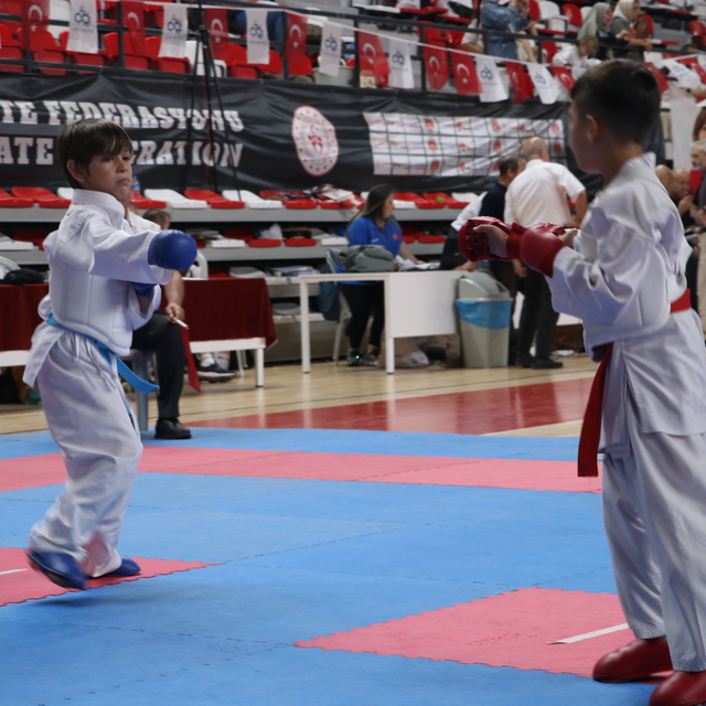 Asya Önel Türkiye Minikler Karate Şampiyonası, Tekirdağ'da sona erdi