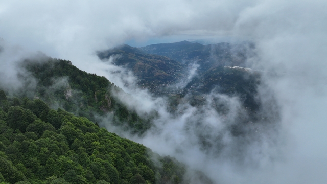Trabzon'un "Hıdırnebi Yaylası" sis altındaki güzelliğiyle ziyaretçilerini karşılıyor