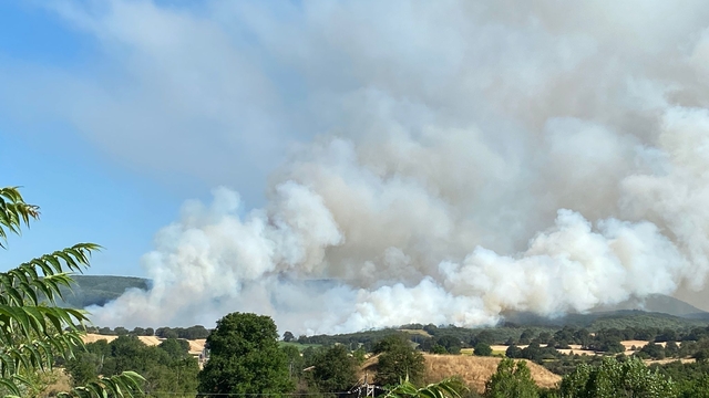 Bilecik'te anızda başlayıp ormana sıçrayan yangına müdahale ediliyor