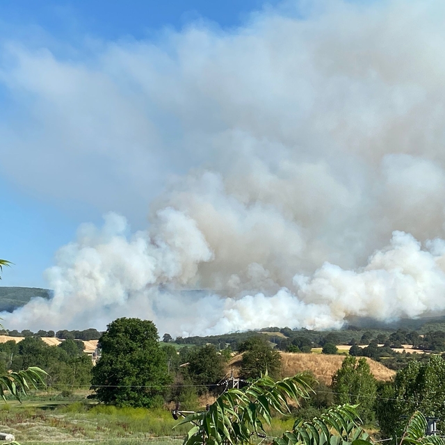 Bilecik'te anızda başlayıp ormana sıçrayan yangına müdahale ediliyor