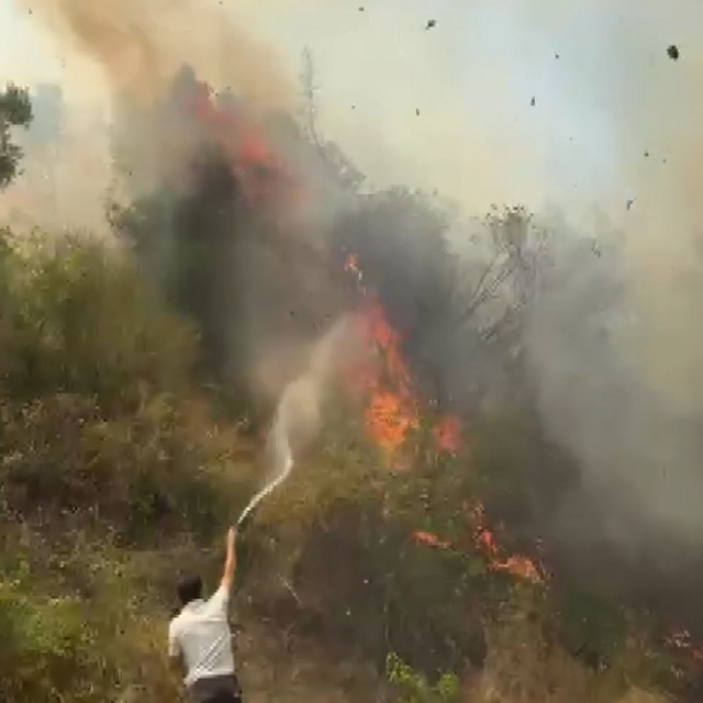 Bursa'da tarım arazisinde çıkan yangın söndürüldü
